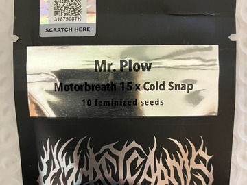 Sell: Mr. Plow from Wyeast