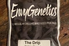 Vente: Envy genetics The Drip