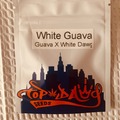 Vente: Topdawg Seeds - White Guava
