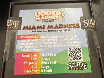 Sell: Miami madness By solfire gardens