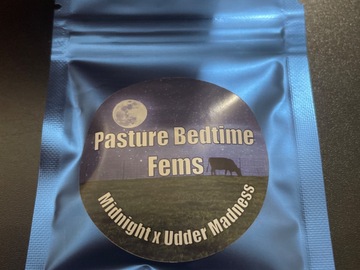 Sell: Pasture bedtime by solfire gardens