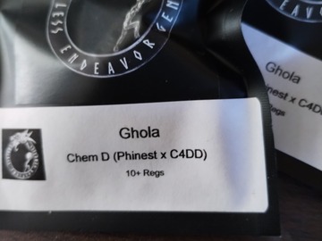 Sell: Ghola (Chem D × C4DD)