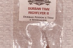Vente: Snowhigh Seeds - Durban Thai HighFlyer