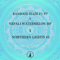 Sell: Bandaid Haze x Watermelon Hashplant x Northern Lights #2