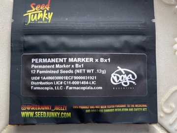 Vente: Seed junky- Permanent Marker x Bx1