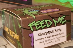 Venta: Seed Bundle! Bogo! Cherry Apple Frosty + Oreo Blast