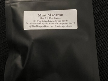 Vente: Gas Reaper Genetics Mint Macaron 10 pack