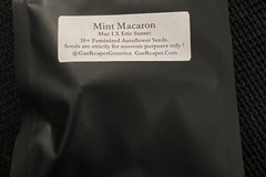 Sell: Gas Reaper Genetics Mint Macaron 10 pack