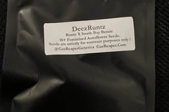 Sell: Gas Reaper Genetics DeezRuntz 10 pack