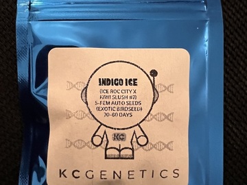 Sell: KC Genetics Indigo Ice 3 pack