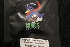 Venta: Runic Fury Phantom Space Ramen F2 5 pack