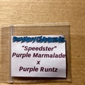 Venta: Purple Runtz X Purple Marmalade Fem. Seeds