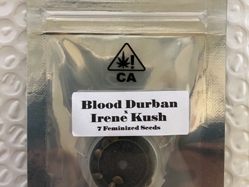 Sell: Blood Durban x Irene Kush from CSI Humboldt