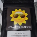 Vente: Strayfox Gardenz - 21 Candles