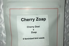 Auction: (AUCTION) Cherry Zoap from LIT Farms