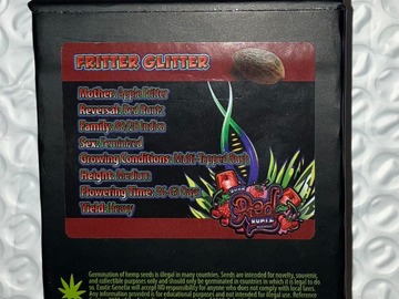 Sell: Fritter Glitter from Exotic Genetix