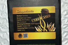 Sell: Grapechata from Exotic Genetix