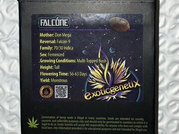 Sell: Falcone from Exotic Genetix