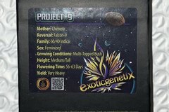 Sell: Project 9 from Exotic Genetix