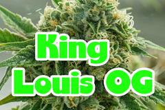 Sell: King Louie OG XIII