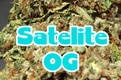 Sell: Satelite OG