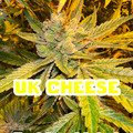 Sell: UK Cheese