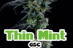 Sell: Thin Mint