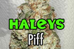 Sell: Haleys Comet