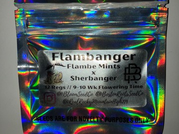 Auction: (AUCTION) Flambanger from Bloom