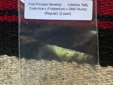 Sell: Litterbox Taffy from First Principle