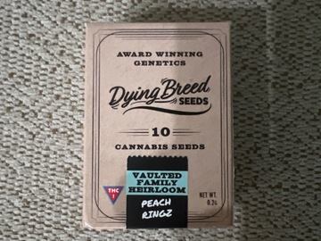 Sell: Dying breed seeds Peach Ringz