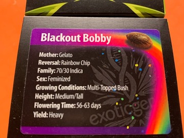 EXOTIC GENETIX - BLACKOUT BOBBY