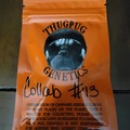 Vente: Thug Pug Genetics - Collab #13