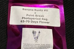 Vente: Viking Gardens Banana Runtz #6 x Point Break 12 pack