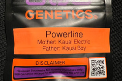 Venta: 808 Genetics Powerline 12 pack