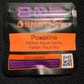 Vente: 808 Genetics Powerline 12 pack