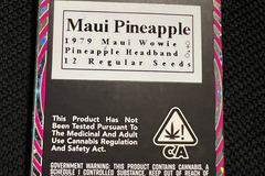 Venta: Equilibrium Genetics Maui Pineapple 12+ pack
