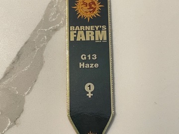 Venta: Barney’s Farm G13 Haze