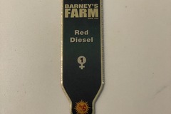 Venta: Barney’s Farm Red Diesel