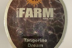Venta: Barney’s Farm Tangerine Dream
