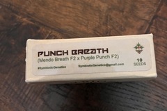 Vente: Symbiotic Genetics - Punch Breath