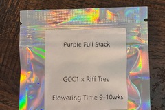 Vente: Bloom Seed Co - Purple Full Stack