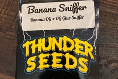 Vente: Thunder Seeds - Banana Sniffer