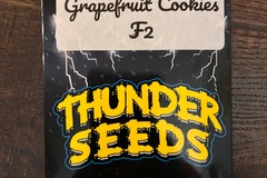 Vente: Matanuska Thunder Seeds - Grapefruit Cookie F2