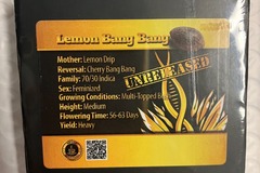 Vente: Lemon Bang Bang from Exotic Genetix