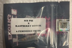 Venta: Ice Pie x Raspberry Boogie