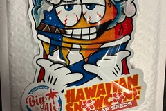 Vente: Hawaiian Snow Cone from Tiki Madman/Big Al's Exotics