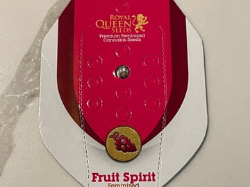 Royal Queen Seeds Fruit Spirit