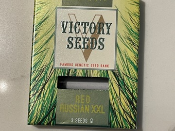 Victory Seeds Red Russian XXL