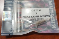 Venta: Gello x Tiki Kush Mints